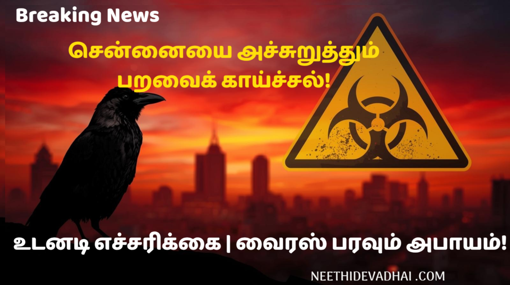 "சென்னையில் பறவைக் காய்ச்சல் பாதிப்பு - H5N1 வைரஸ் பரவல் மற்றும் முன்னெச்சரிக்கை நடவடிக்கைகள்."