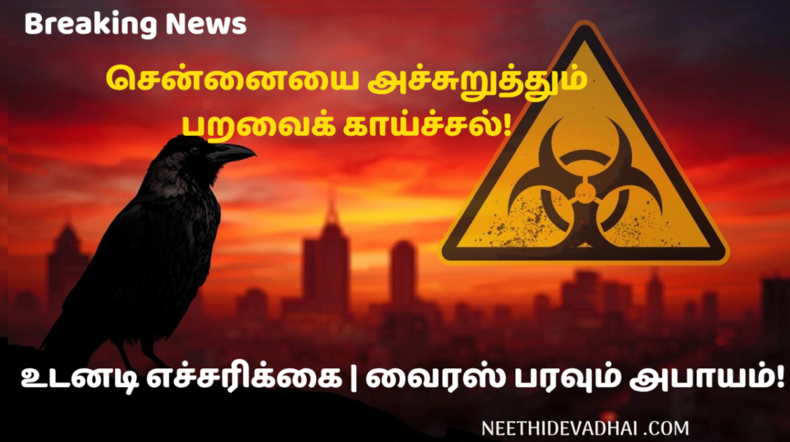 சென்னையில் H5N1 பறவைக் காய்ச்சல் உறுதி: பல பகுதிகளில் காகங்கள் கூட்டமாக உயிரிழப்பு