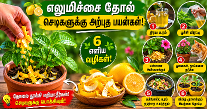 எலுமிச்சை தோல் செடிகளுக்கு பயன்படும் 6 இயற்கை வழிகள்