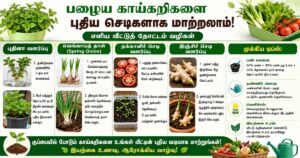 வீட்டுத் தோட்டம் வளர்ப்பது எப்படி